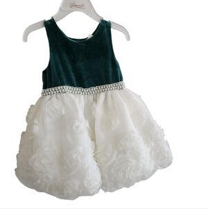 Velvet and Rosette Tulle Flower Girl Dress - Emerald and White Sz 2T Nwt